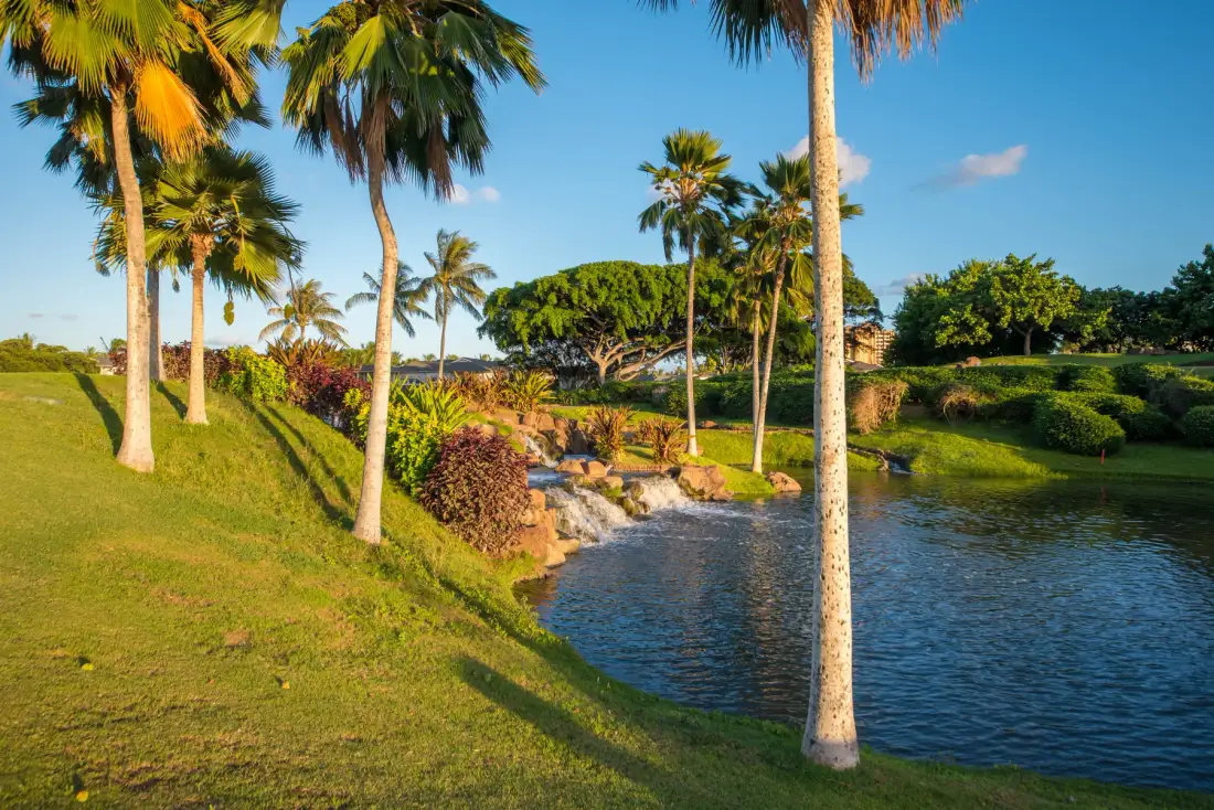 A landscaped pond winds through a grassy tropical garden with palm trees.