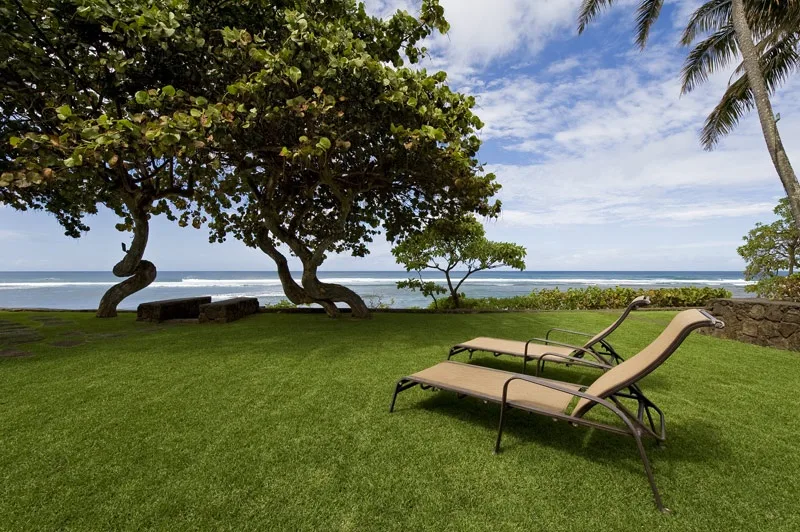 A grassy seaside lawn with lounge chairs and trees beside the ocean.