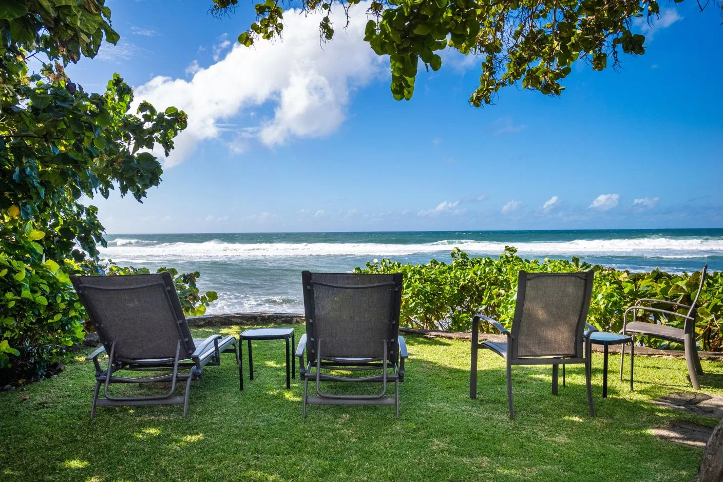 Outdoor seating faces the ocean from a grassy area shaded by leafy trees.