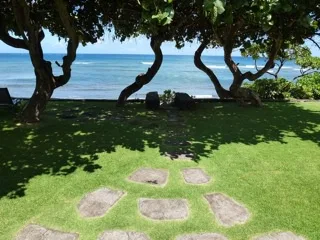 A grassy seaside lawn beneath trees, with the ocean visible beyond.
