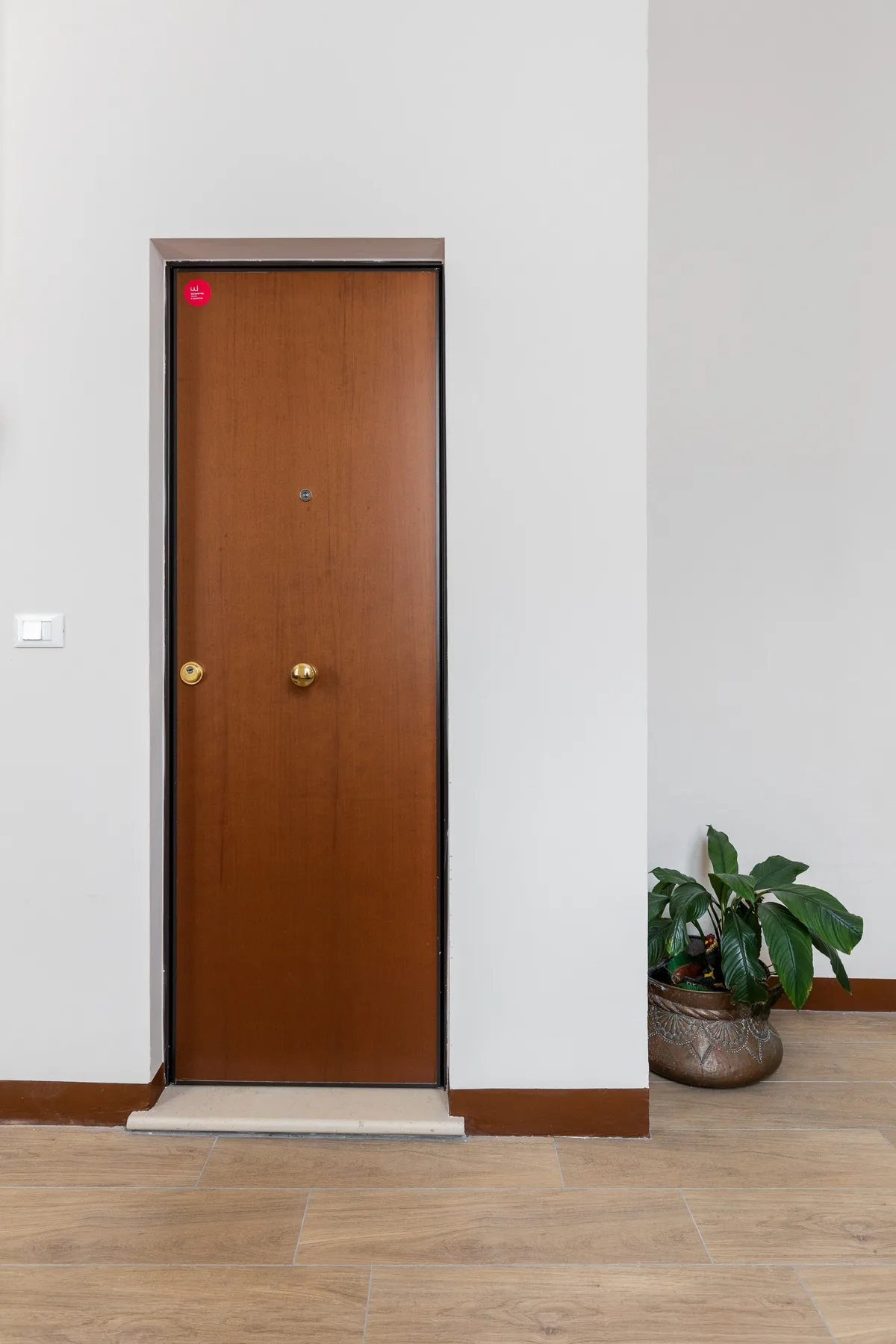 A wooden room door stands beside a potted plant in a bright interior.