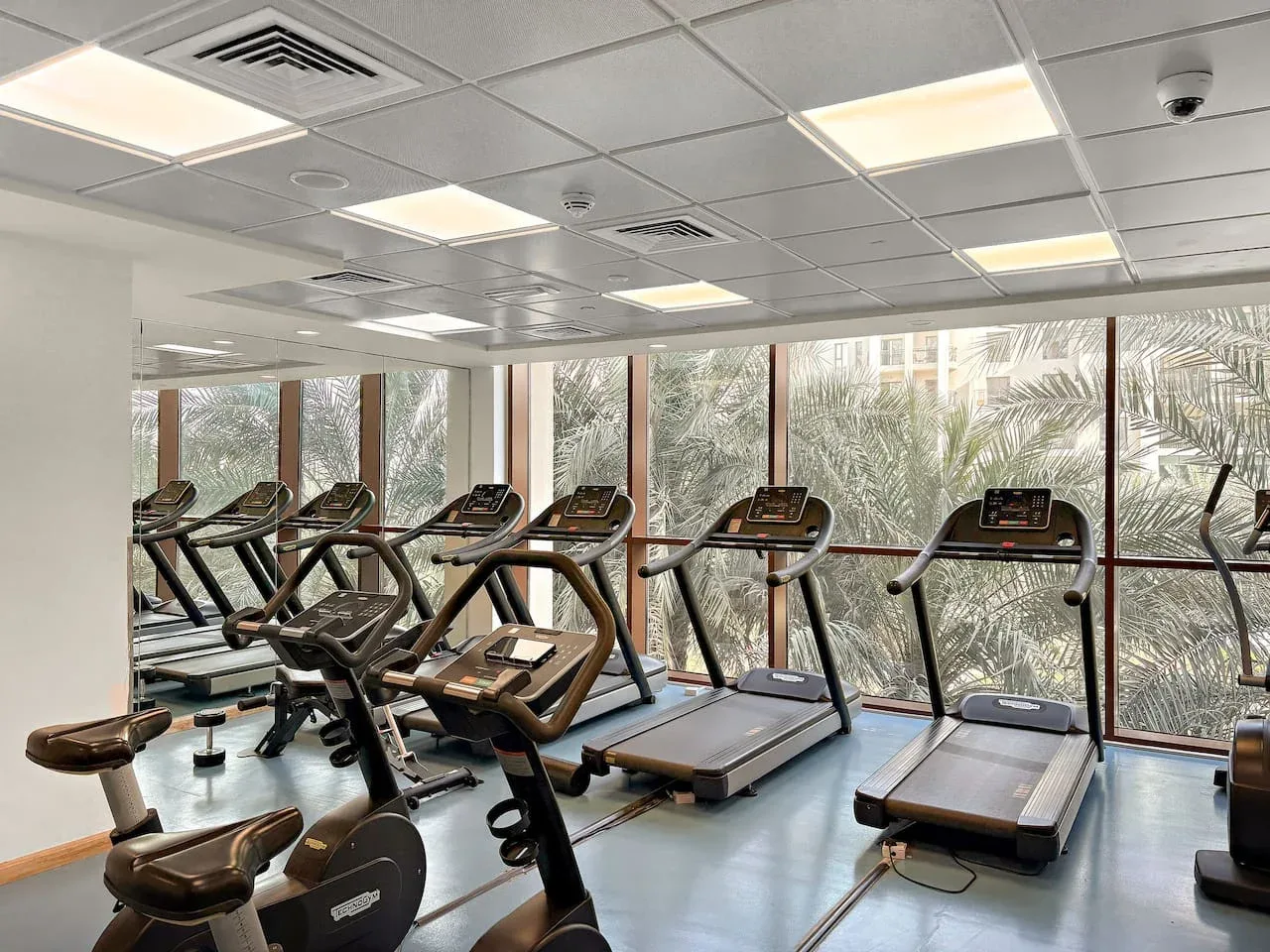A gym with rows of treadmills and other exercise equipment beside large windows.