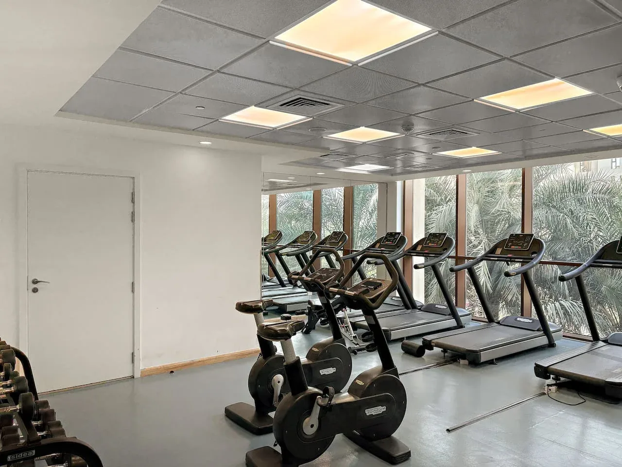 A gym with treadmills and stationary bikes beside large windows.