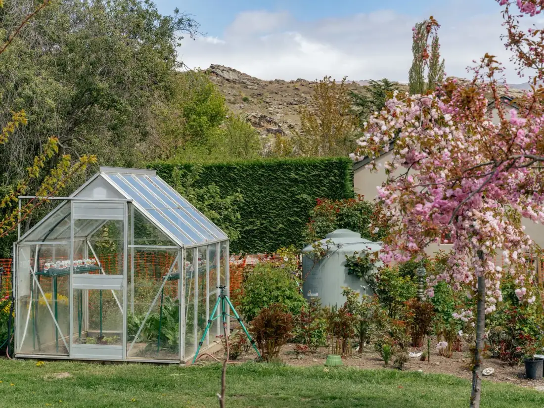 Un jardín con un invernadero de cristal y un árbol con flores rosas.