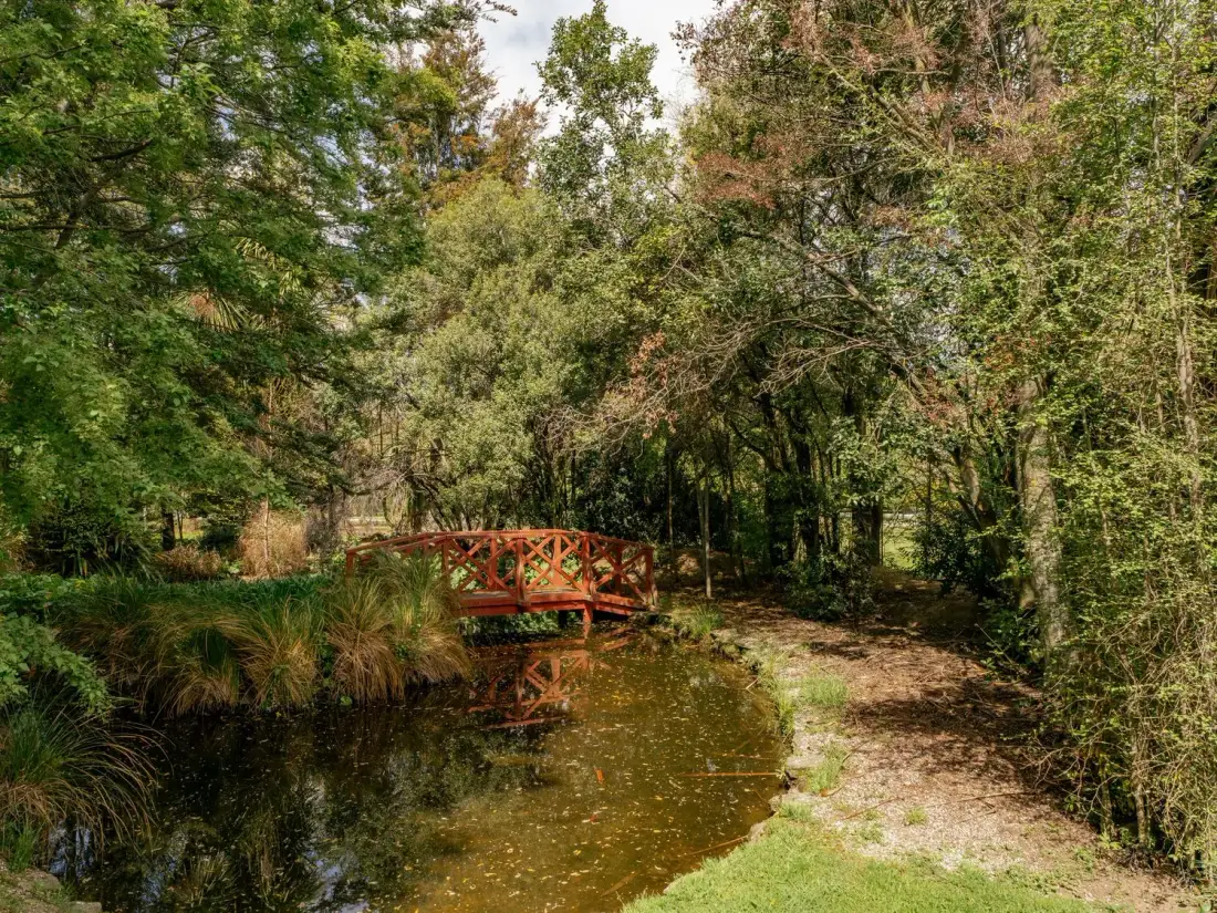 Un pequeño puente de madera sobre un estanque rodeado de árboles y césped en Caledonia - Earnscleugh Holiday Home, en Earnscleugh