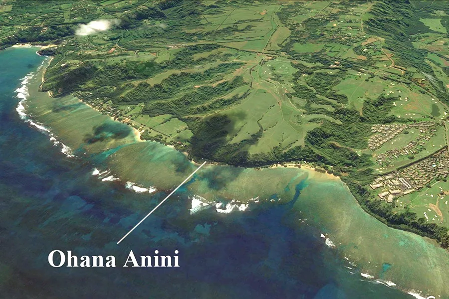 Aerial view of a green coastal landscape with fields and turquoise water.