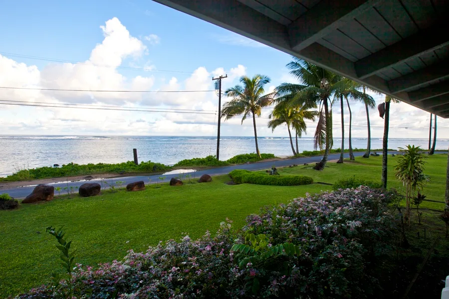 Un jardín junto al mar da al océano, con palmeras a lo largo de la costa.