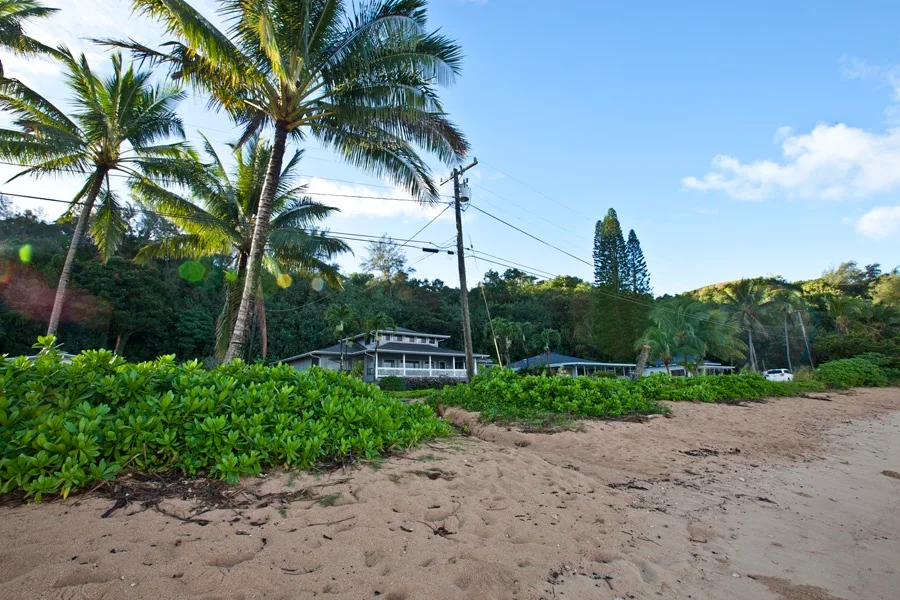 A sandy beach borders tropical greenery, palm trees, and nearby buildings.