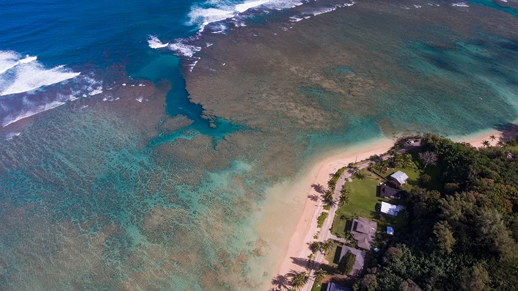 Una vista aérea muestra una playa de arena junto a aguas turquesas y una costa verde.