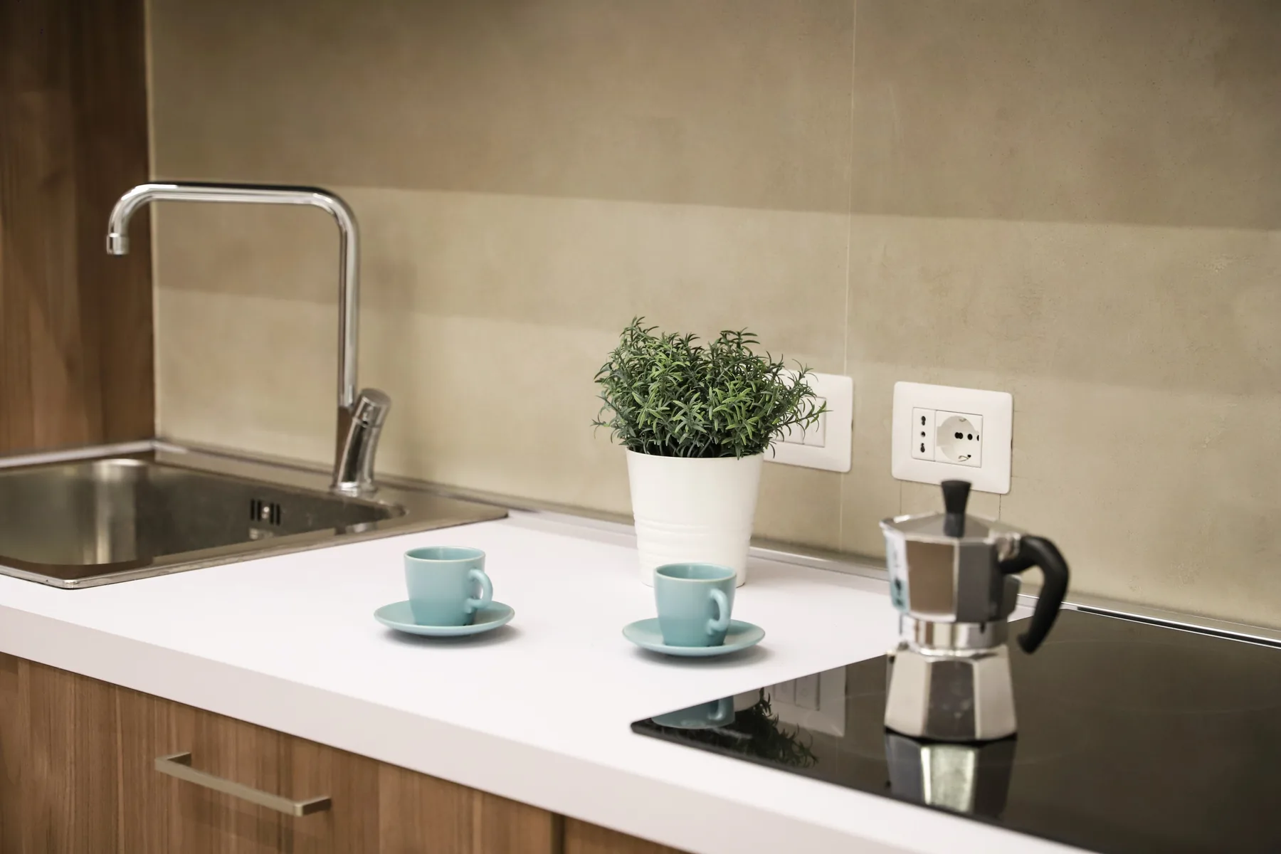 A kitchen counter with a sink, potted plant, and coffee maker.