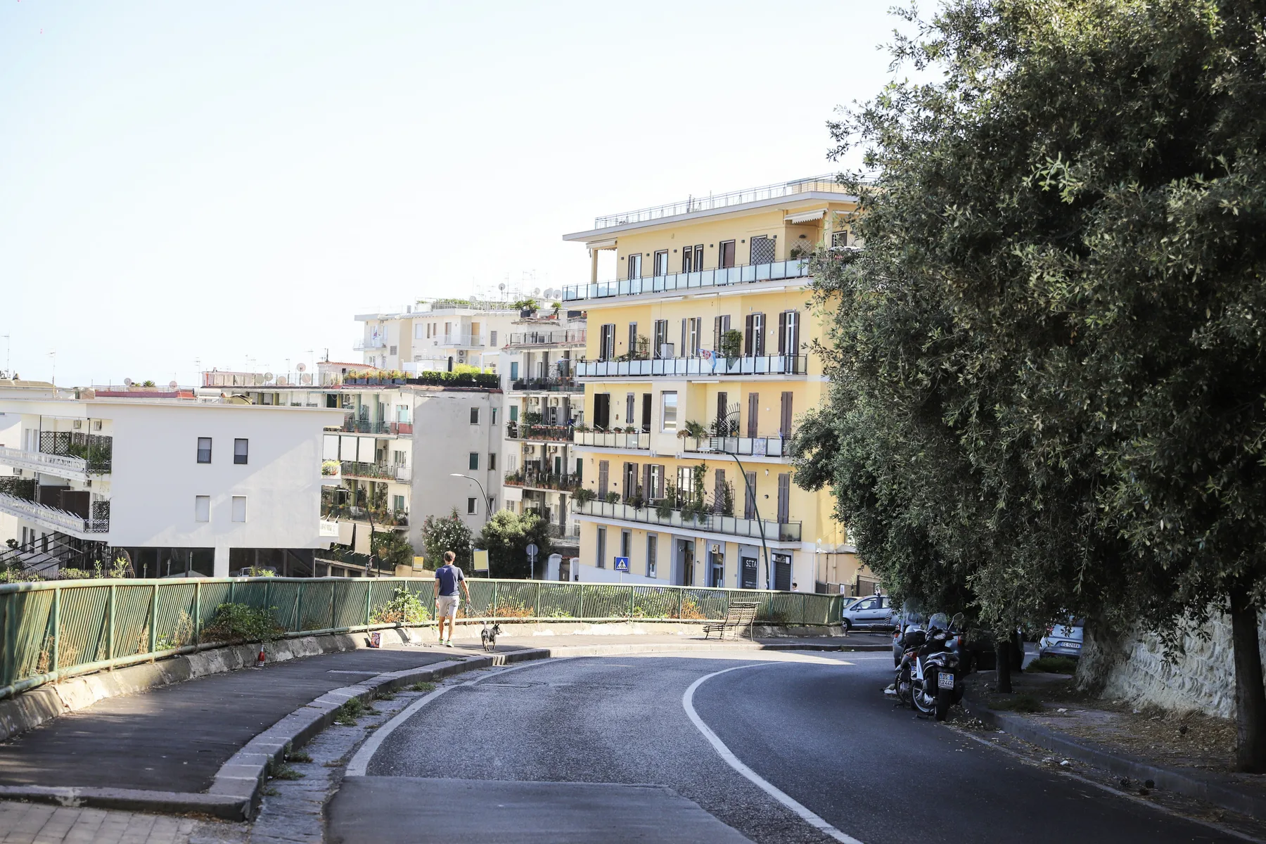 A curved road passes apartment buildings, with a large tree along the roadside.