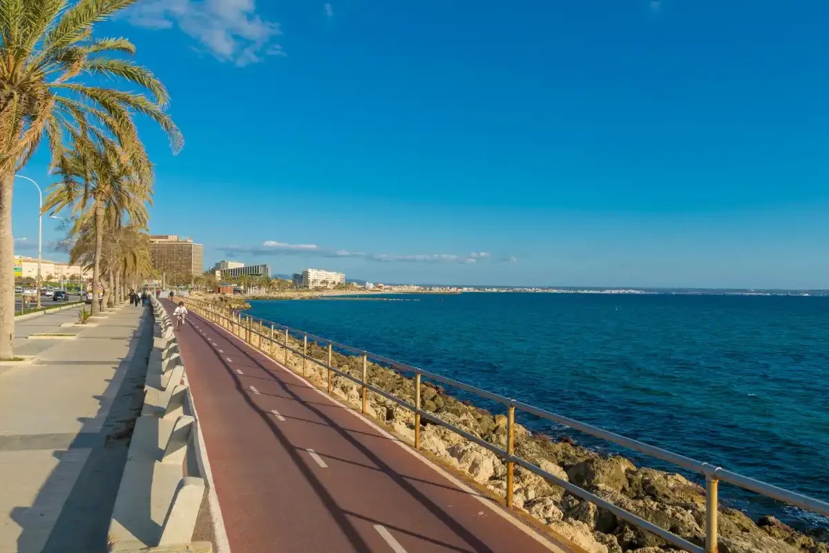 A seaside promenade with a paved path running beside the blue water.