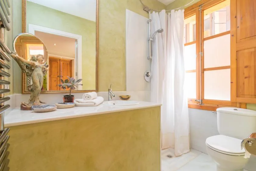 A bathroom with a sink counter, shower curtain, and toilet beside a wood-framed window.