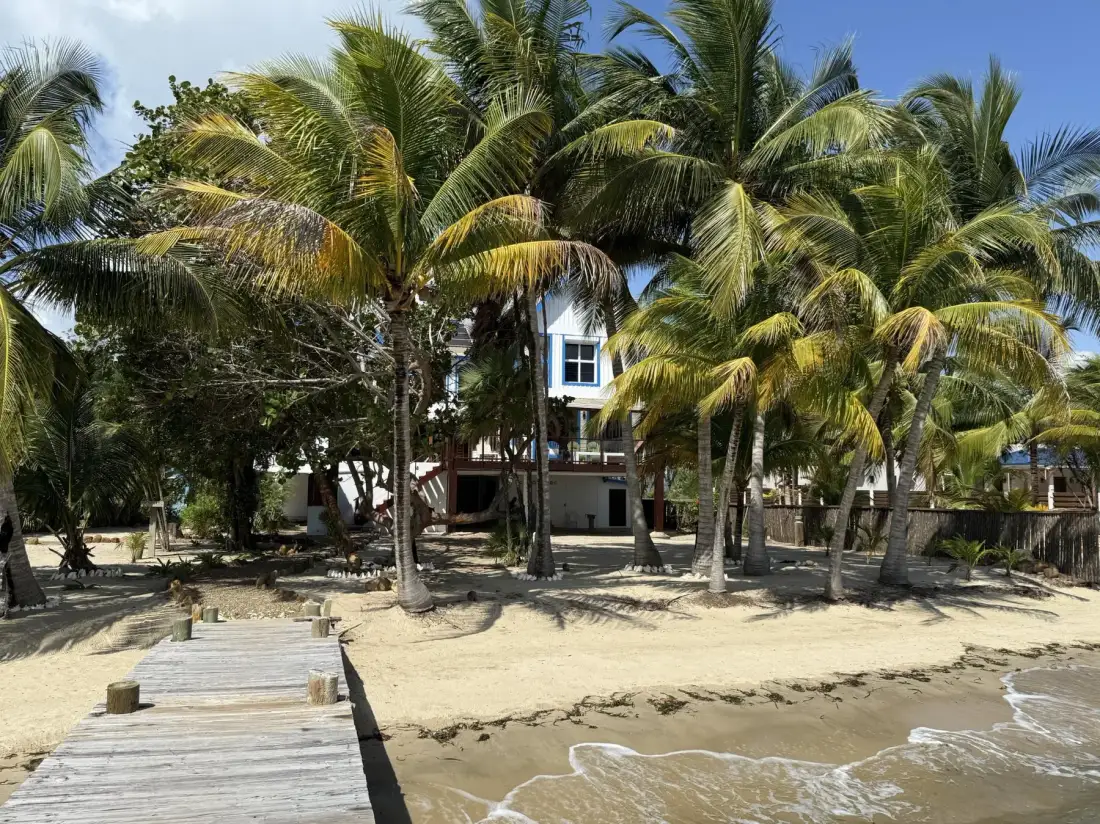 A sandy beach with a wooden walkway leading toward a palm-shaded building.