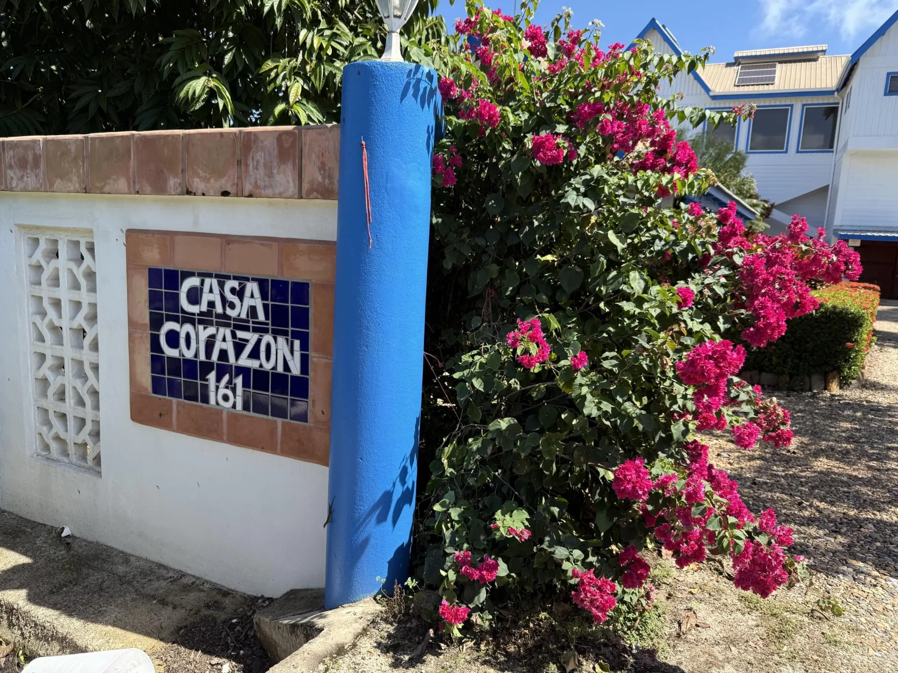 Una buganvilla en flor crece junto a un poste azul y un letrero de entrada con azulejos.