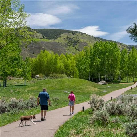 Walking trail through Anderson Park