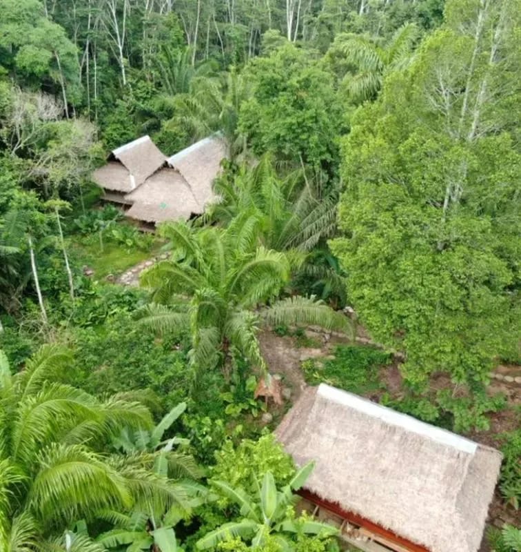 Charming 1BR Bungalow with Natural Views