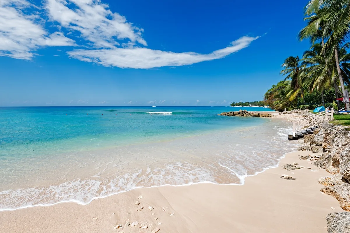 A sandy beach meets clear turquoise water, with palm trees along the shore.