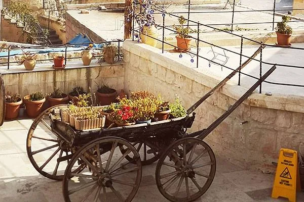 Hotel garden