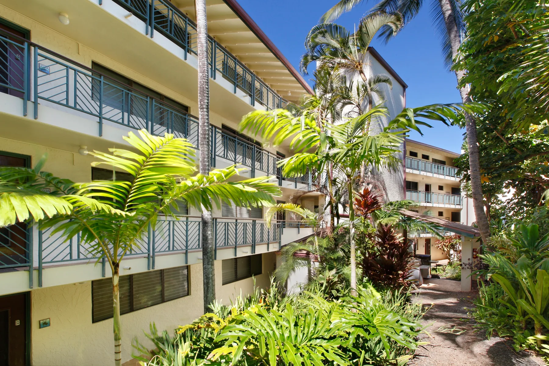 Un edificio de varios pisos con balcones está rodeado de plantas tropicales y palmeras.