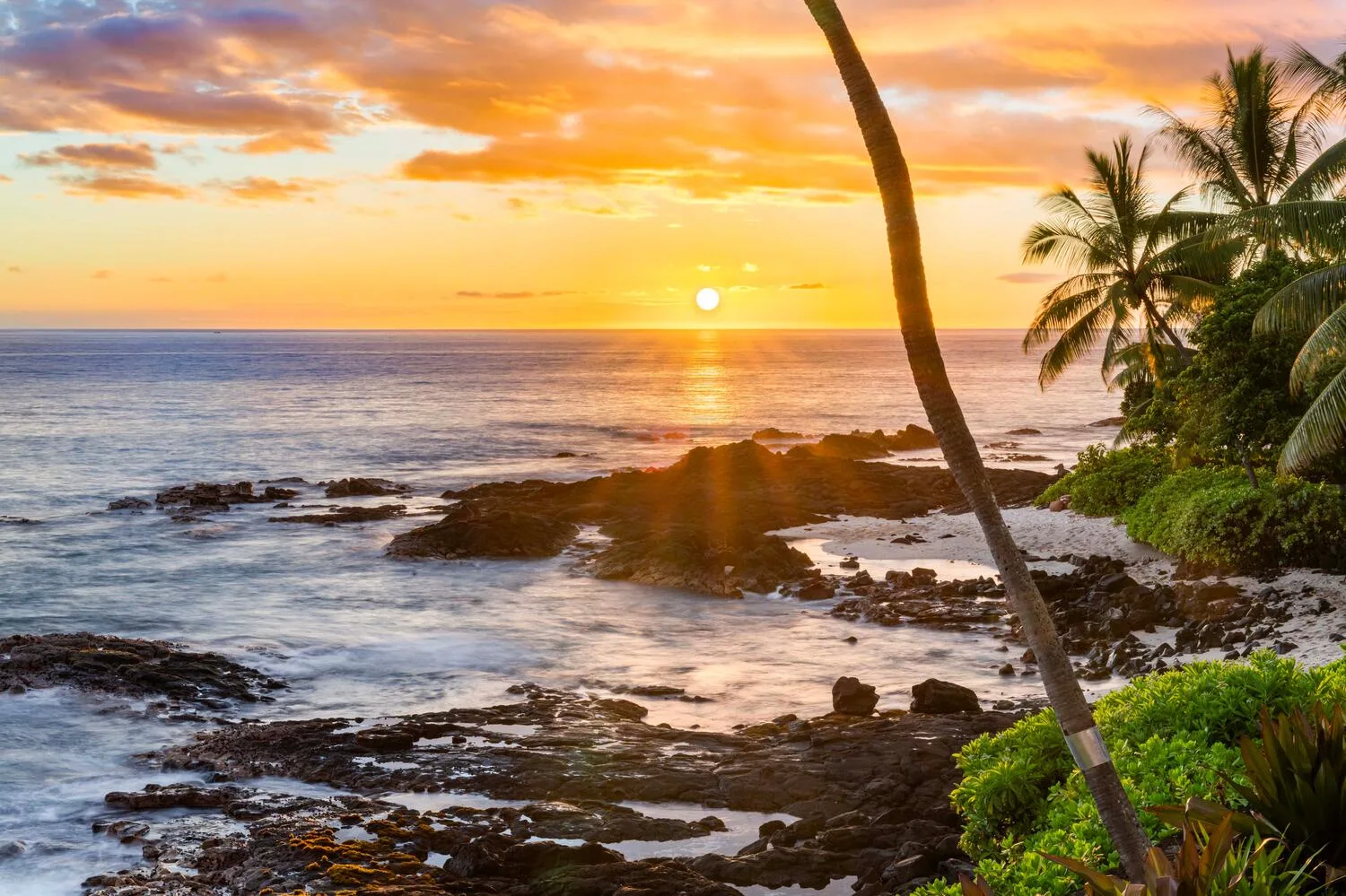 Atardecer sobre el océano, con costa rocosa y palmeras.