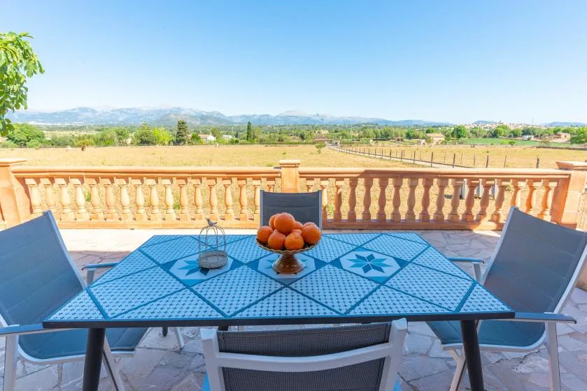 A tiled outdoor dining table with fruit overlooks a countryside landscape.