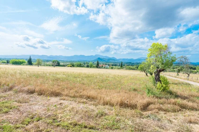 A dry grassy field stretches toward distant mountains beneath a cloudy blue sky.