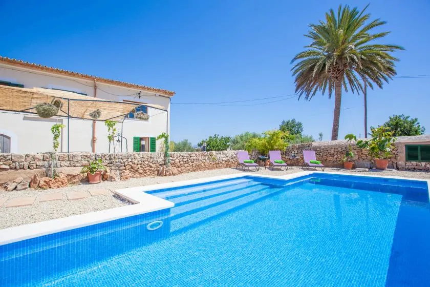 An outdoor swimming pool beside a stone wall and a palm tree.