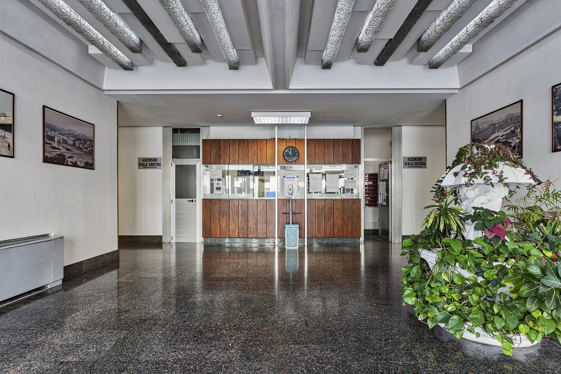 Vestíbulo de un edificio con mostrador de recepción y una gran planta frondosa.