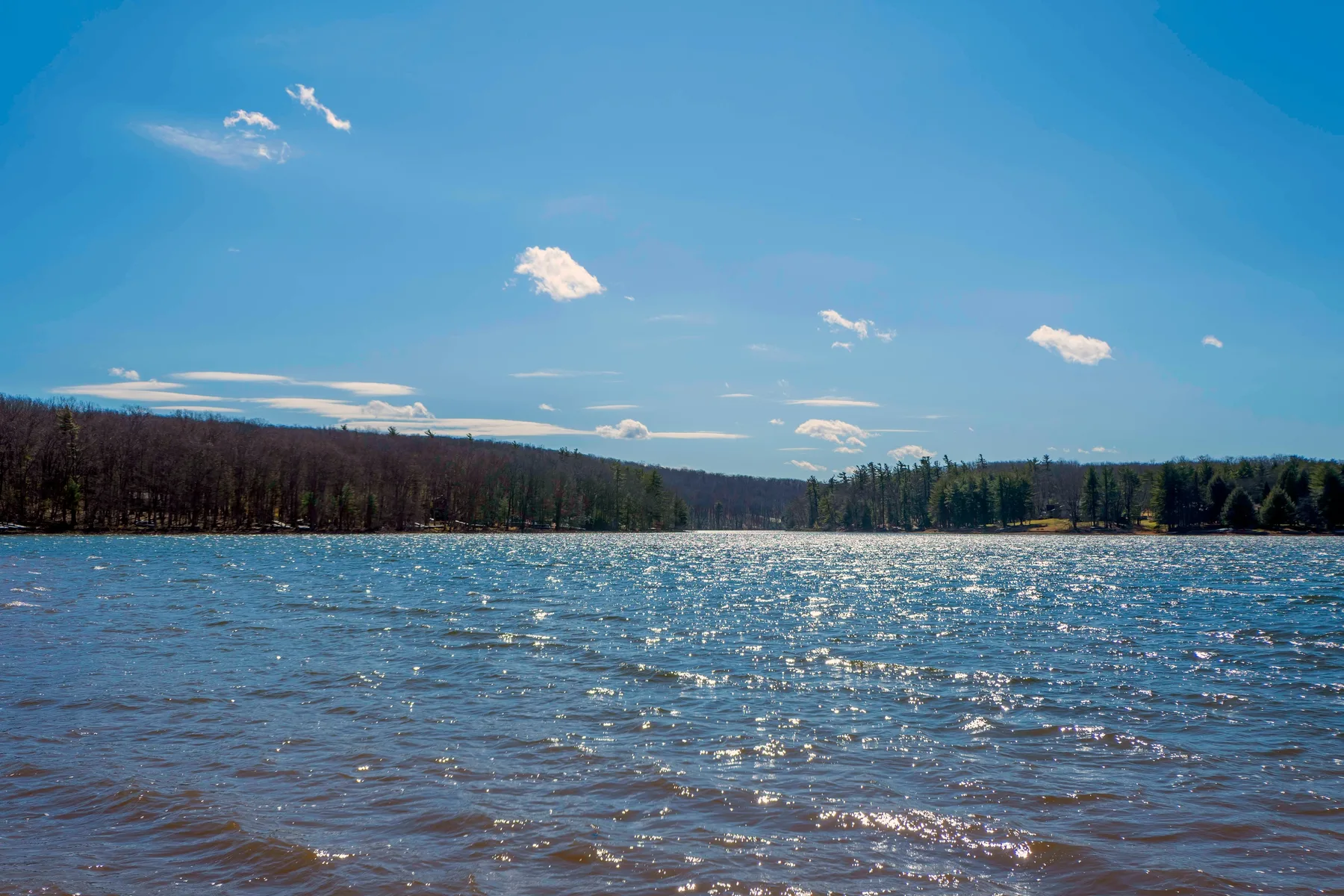 A lake stretches toward a tree-lined shore beneath a clear blue sky.