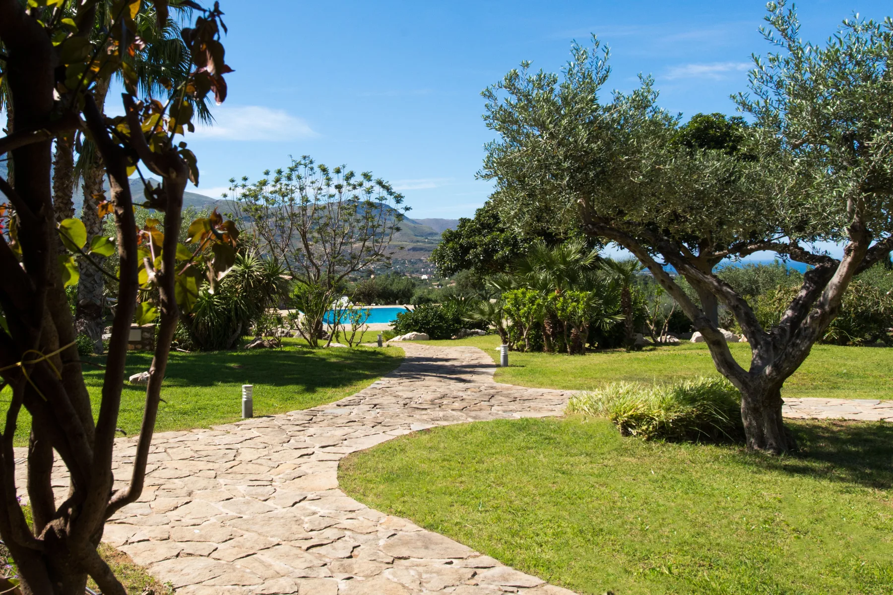 A landscaped garden with a stone path winding toward a pool.
