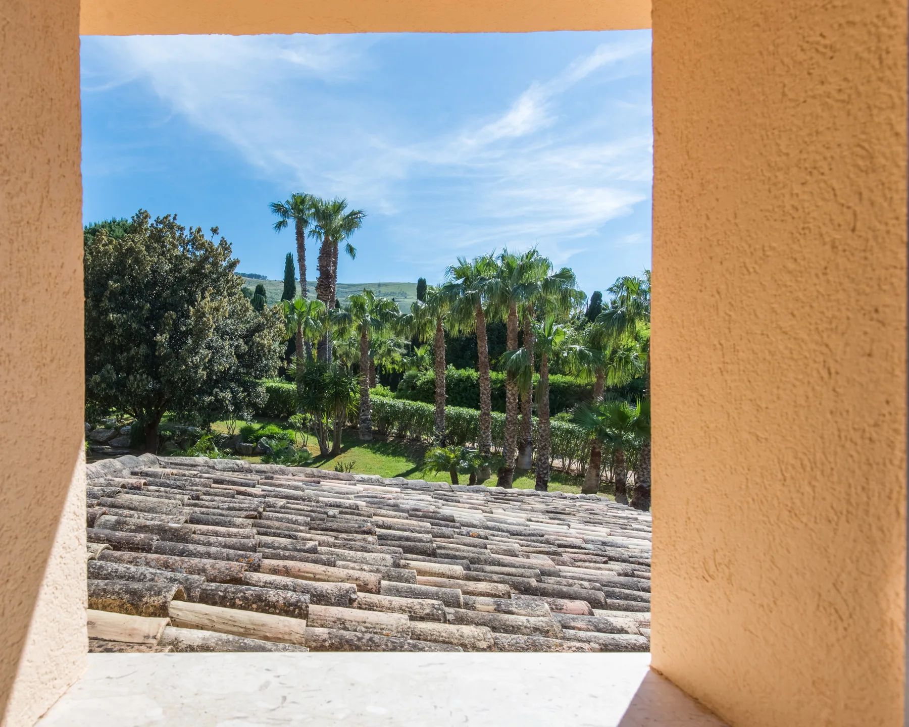 A window opening frames palm trees and greenery beneath a blue sky.