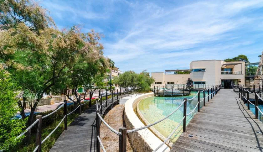 A curved pool sits beside a wooden walkway and modern buildings.