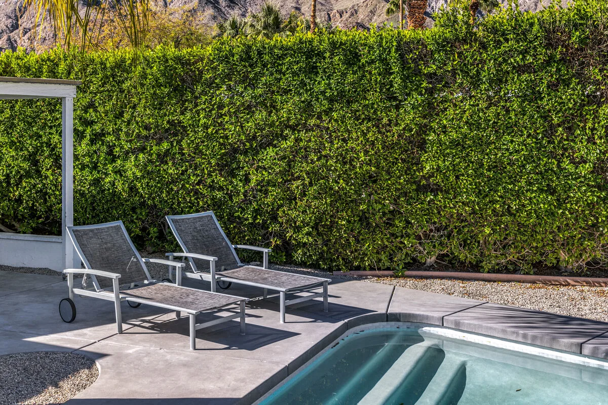 Palm Springs Midcentury Alexander