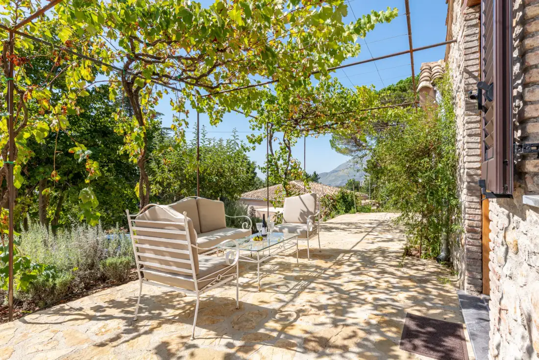 A sunny outdoor patio with seating beneath leafy vines.