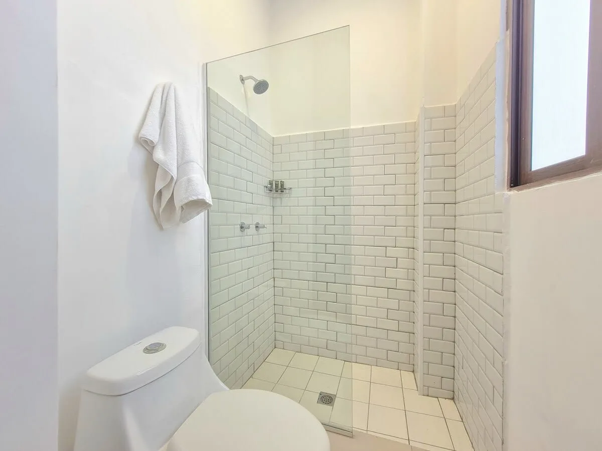 Deluxe 1BR in Casco Antiguo