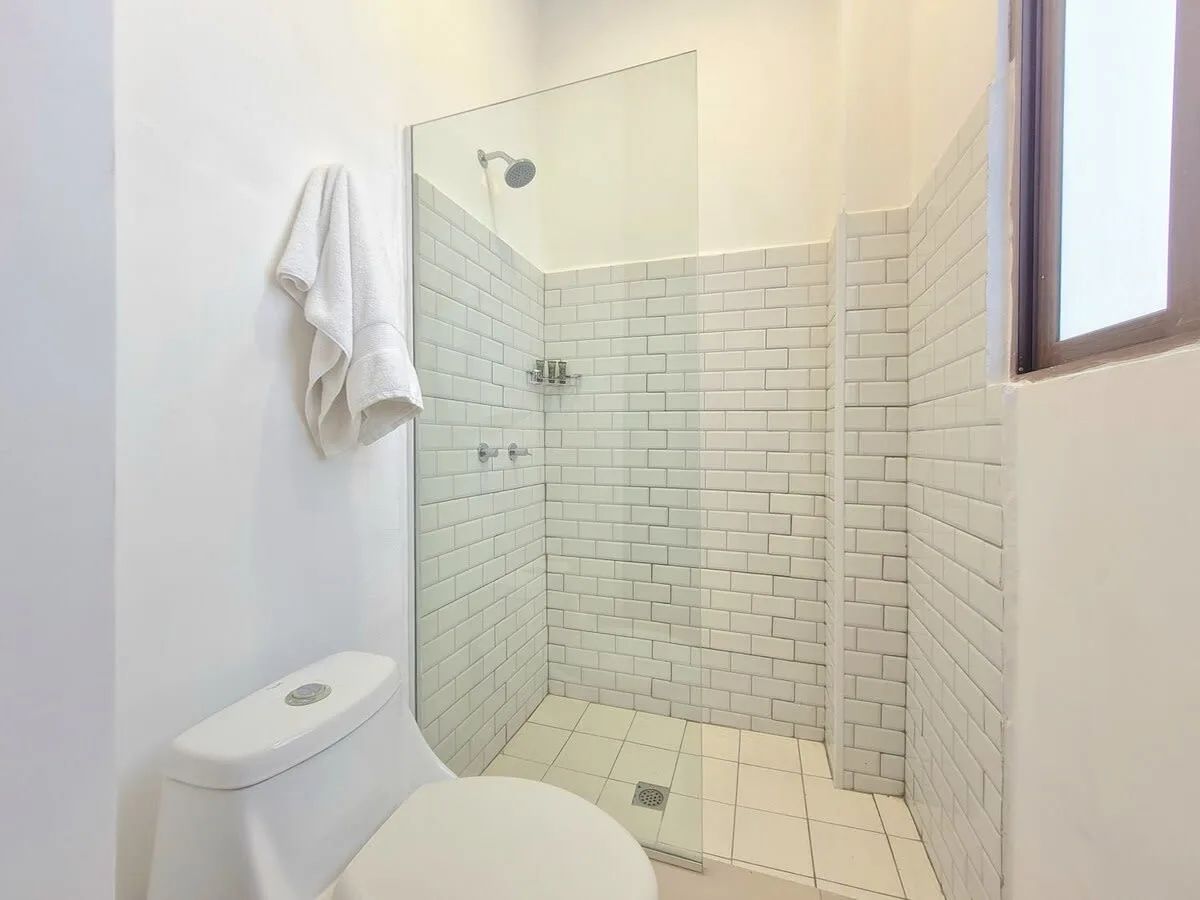 Deluxe 1BR in Casco Antiguo