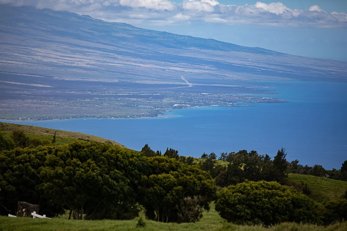 Una amplia bahía se extiende bajo una cordillera lejana y una ladera verde.