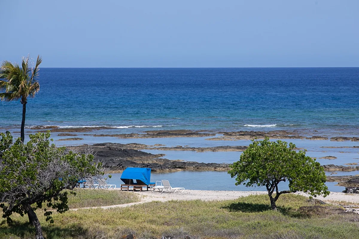 Una playa costera con olas, una orilla rocosa y árboles junto al agua.