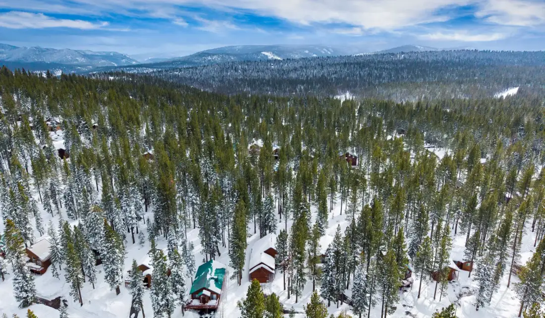Un bosque nevado se extiende hacia montañas lejanas, con cabañas dispersas entre los árboles.