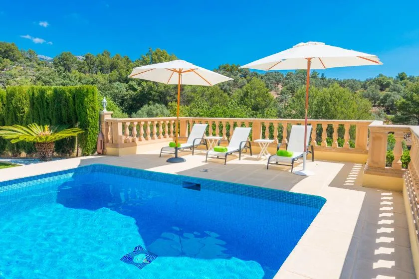 An outdoor swimming pool beside a sunlit terrace with lounge seating and umbrellas.