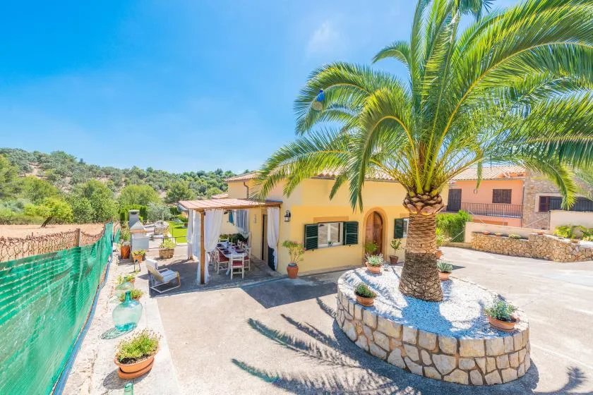 A sunny courtyard with a palm tree, stone planter, and shaded outdoor seating.