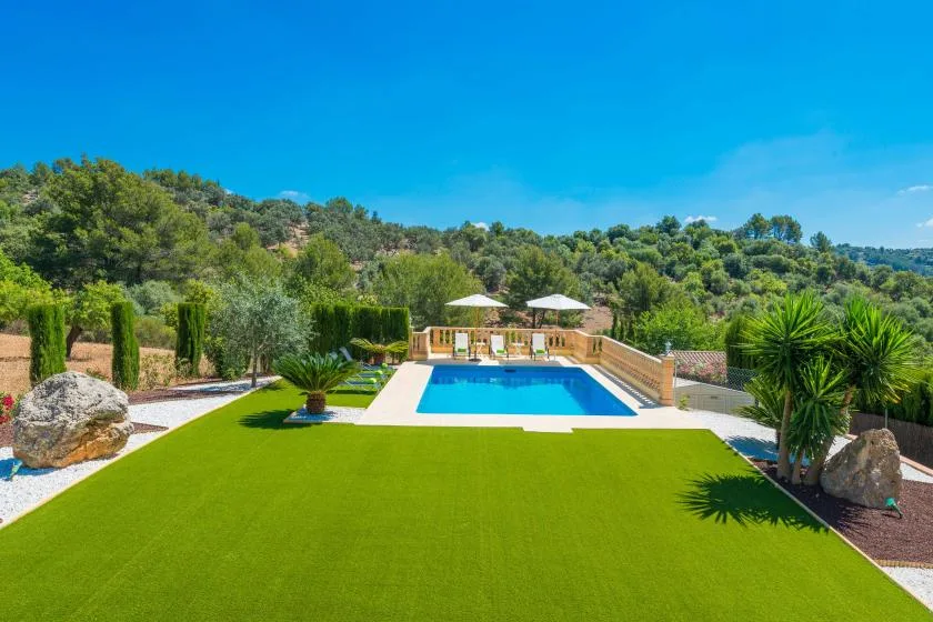 A landscaped outdoor pool area with a bright blue swimming pool and green lawn.