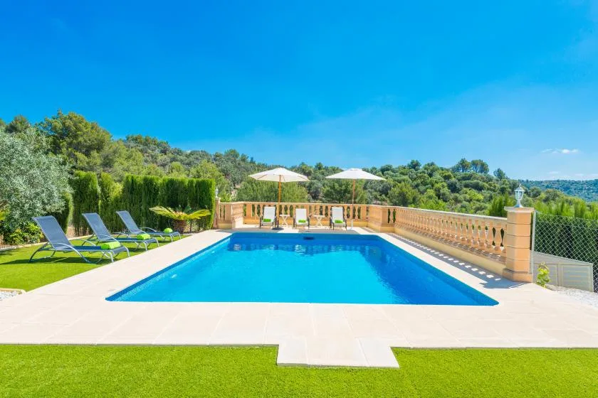 An outdoor swimming pool is surrounded by a paved deck, lounge seating, and greenery.