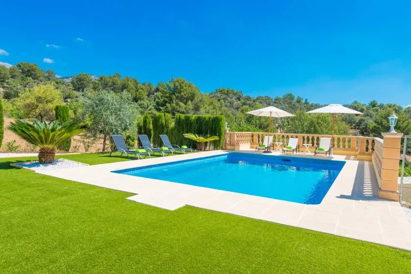An outdoor swimming pool beside a green lawn, with loungers and umbrellas.