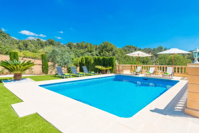 An outdoor swimming pool is surrounded by a pale deck and green lawn.