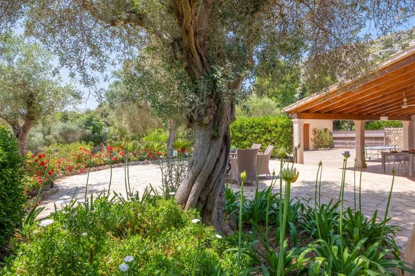 A garden patio with seating beneath a wooden pergola, surrounded by trees and flowers.