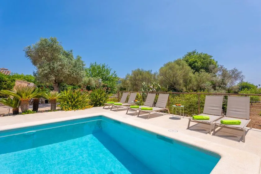 Una piscina junto a una terraza pavimentada, con asientos reclinables y vegetación.