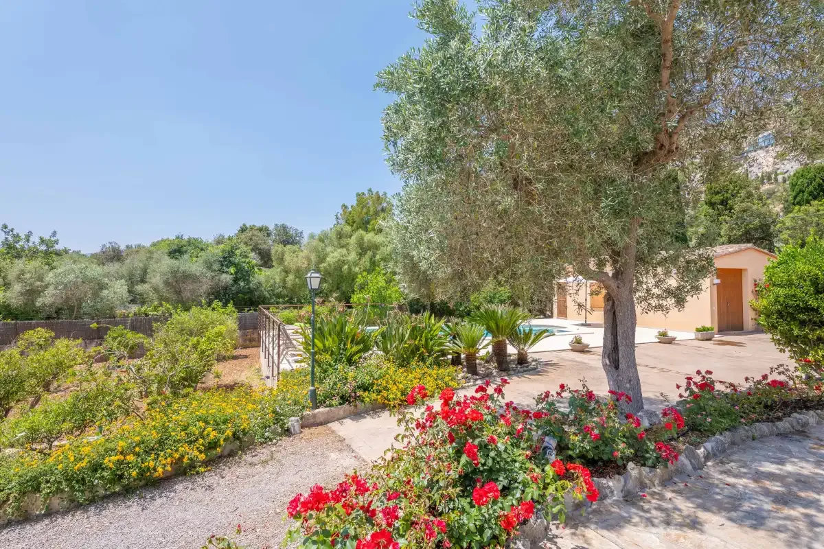A landscaped garden with flowering plants, trees, and a paved path.