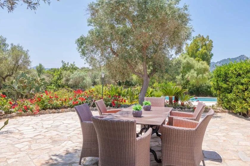 A garden patio with outdoor seating and a table beneath a leafy tree.